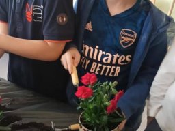 50028376211671292718816867205668241059909699n